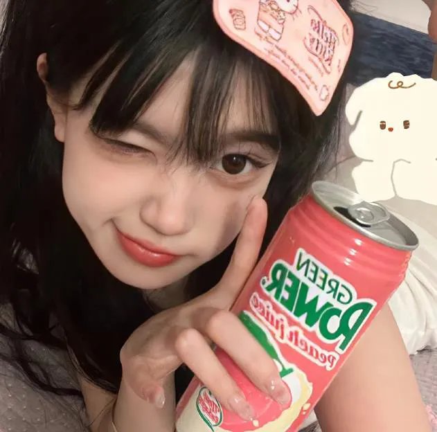 翱翔于天际的夜鹰